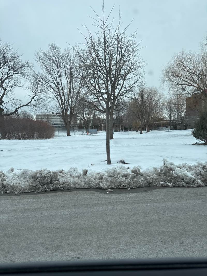 walking near me in Parc Henri-Julien in spring