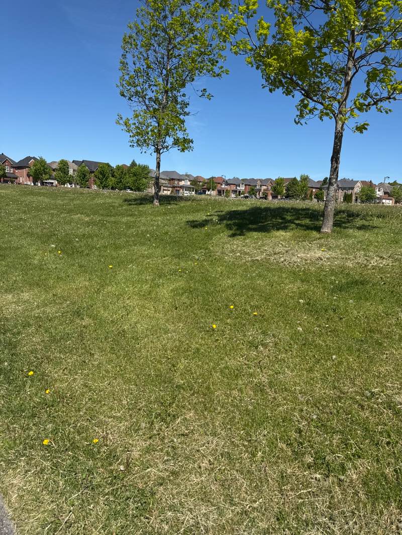 walking near me in Eagle's Landing Park in summer