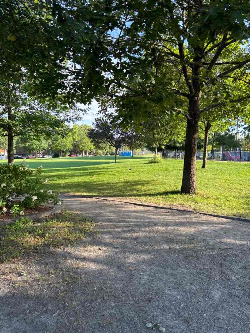 walking near me in Parc Martin-Luther-King in summer