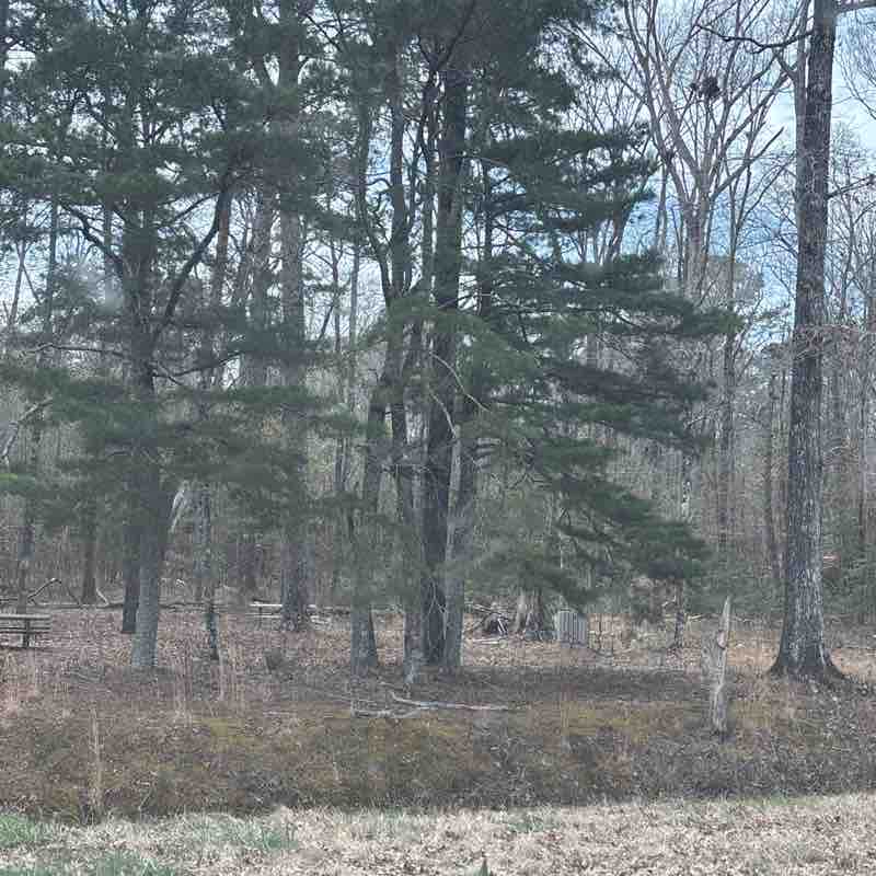 Steven Miller post 1