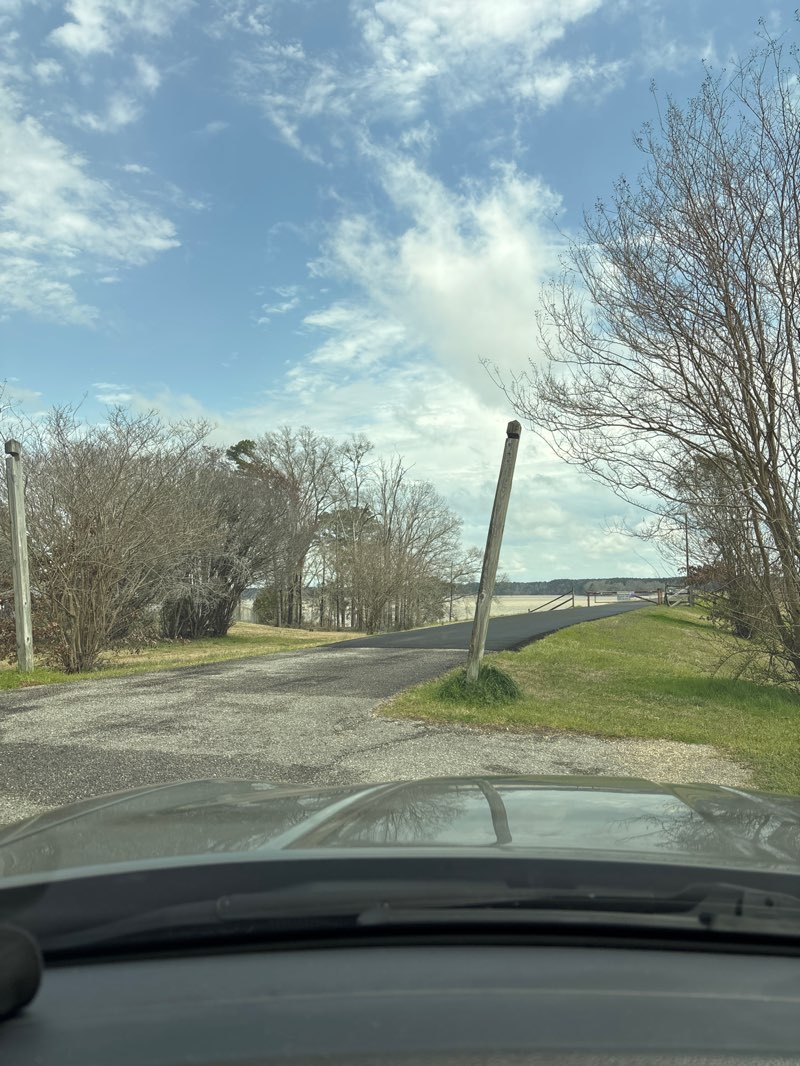 walking near me in West Bank Park in spring