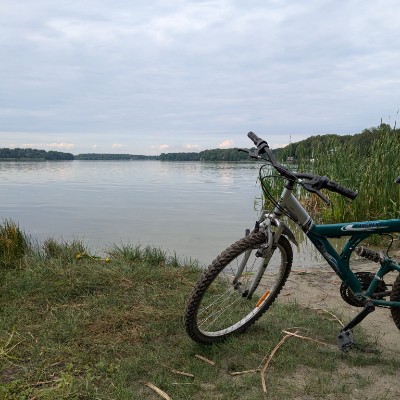 Любители поесть и выпить Алексей post image