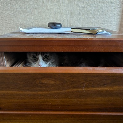 Любители поесть и выпить Алексей post image