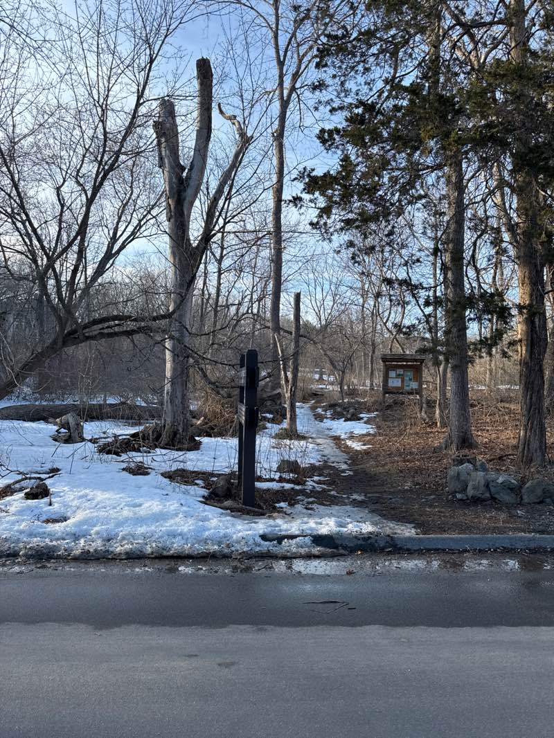walking near me in Dunback Meadow Conservation Area in spring