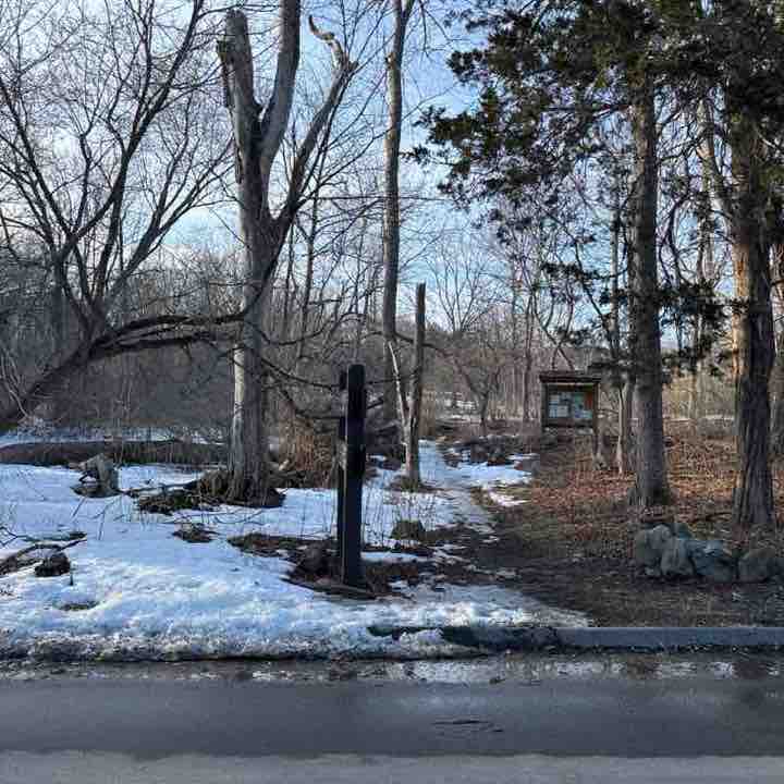 PacerGirl_1964 post 1