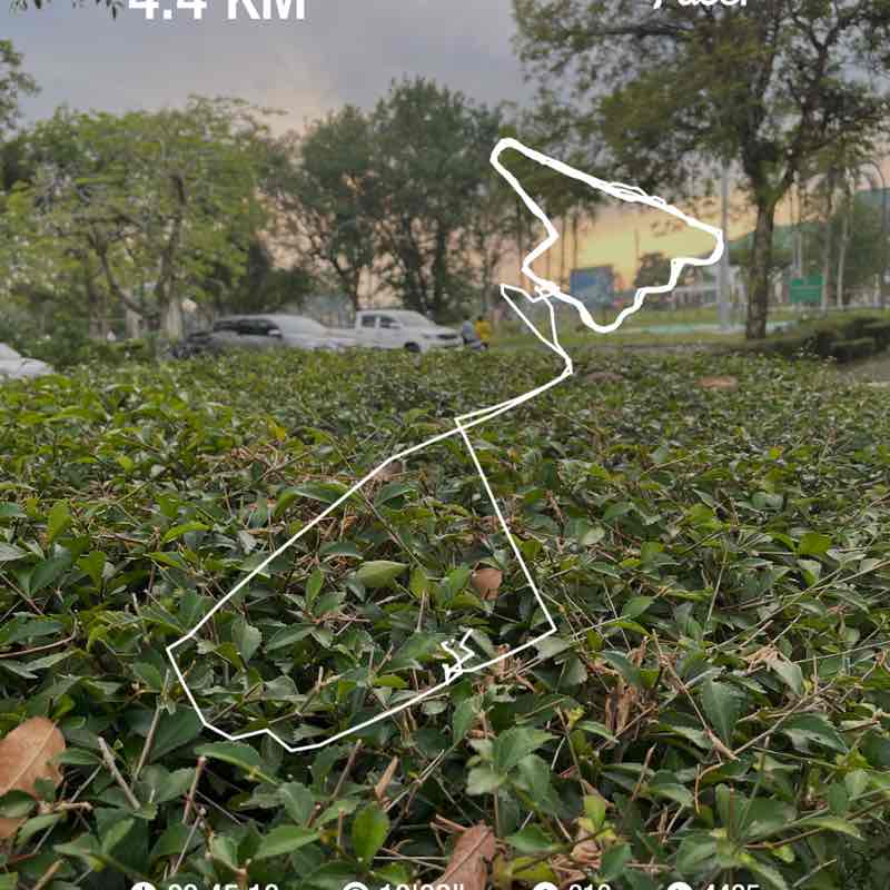 Shamiza post 1