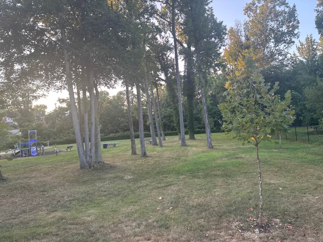walking near me in Cabin Branch Park in autumn