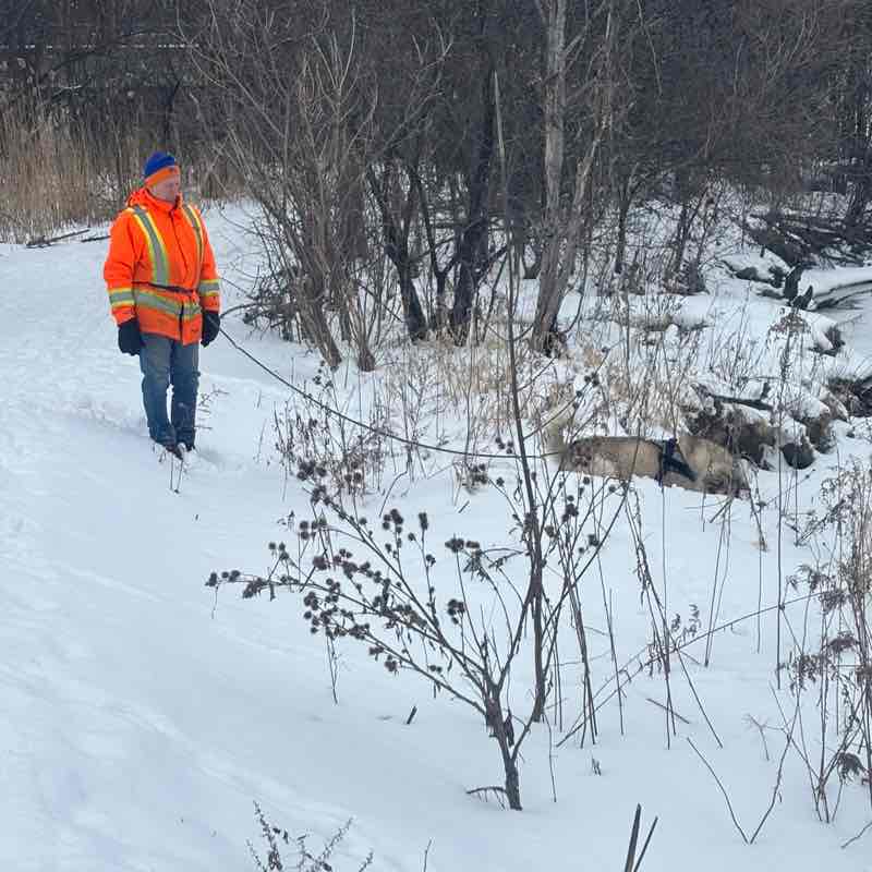 judithanncjones post 1