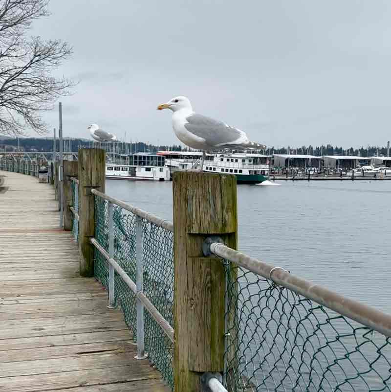 Carrie 🌞🌲🥾🏔️🌲 post 2