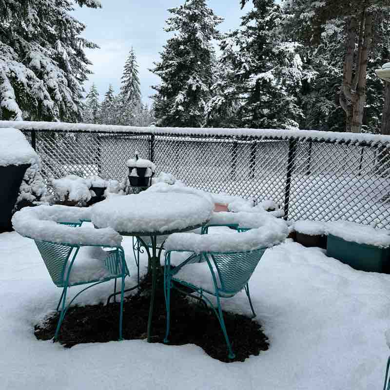 Carrie 🌞🌲🥾🏔️🌲 post 2