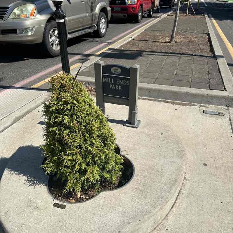 Carrie 🌞🌲🥾🏔️🌲 post 3