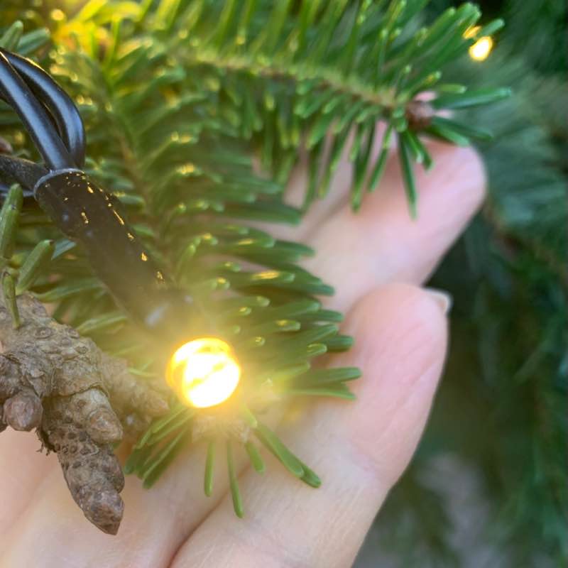 Мы можем больше! Тула Татьяна post image