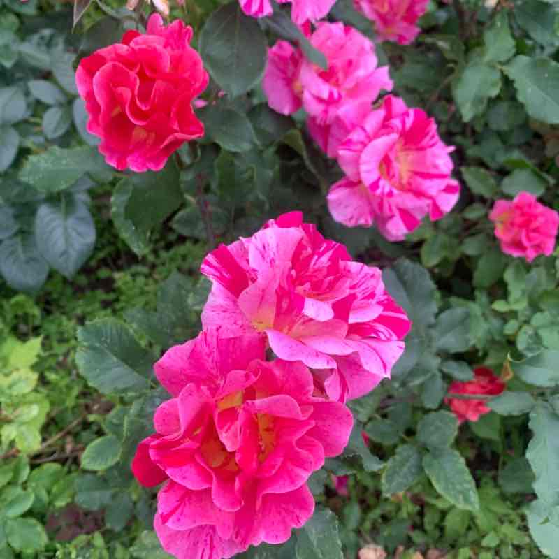 Татьяна post 2