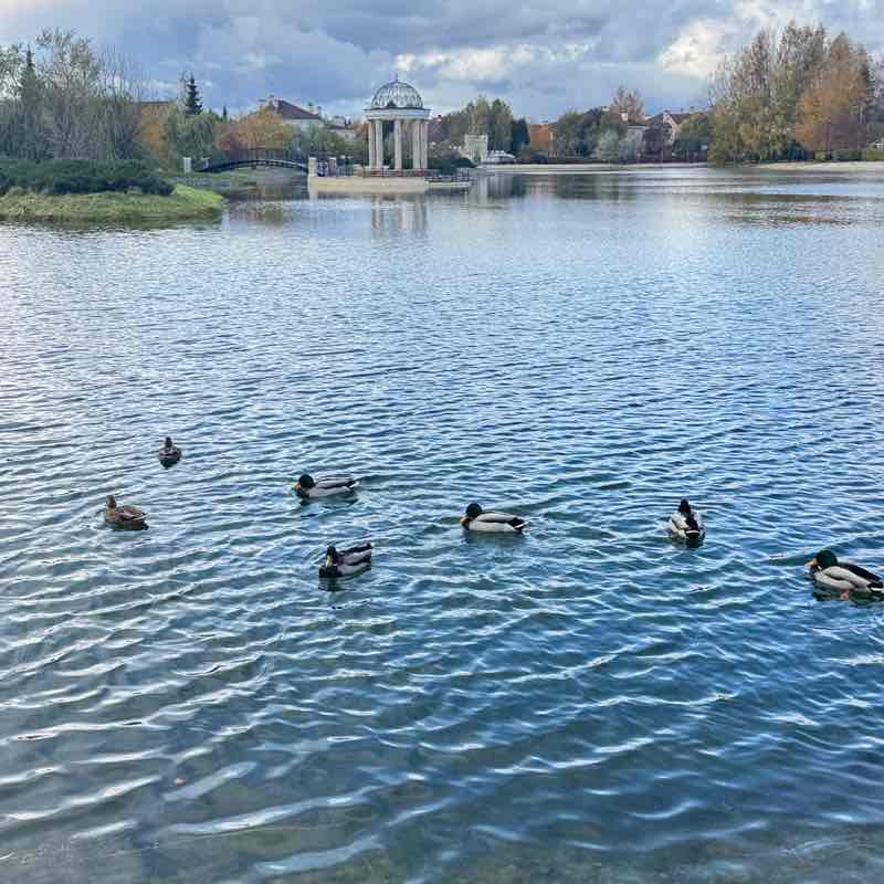 🏃‍♂️‍➡️LET'S RUN🏃🏼‍♀️ Nodira post image