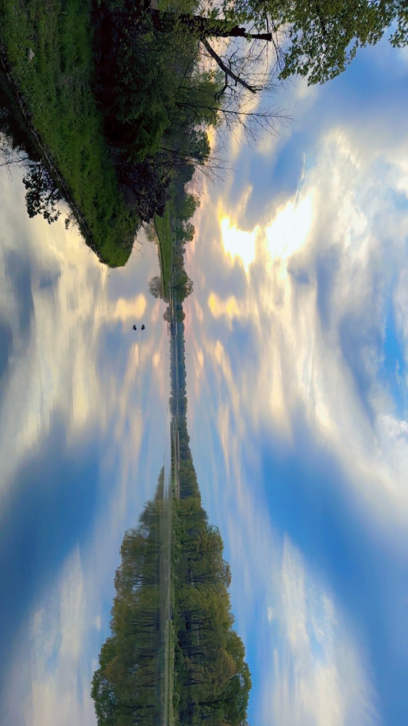 walking near me in Yeader Creek Park in spring