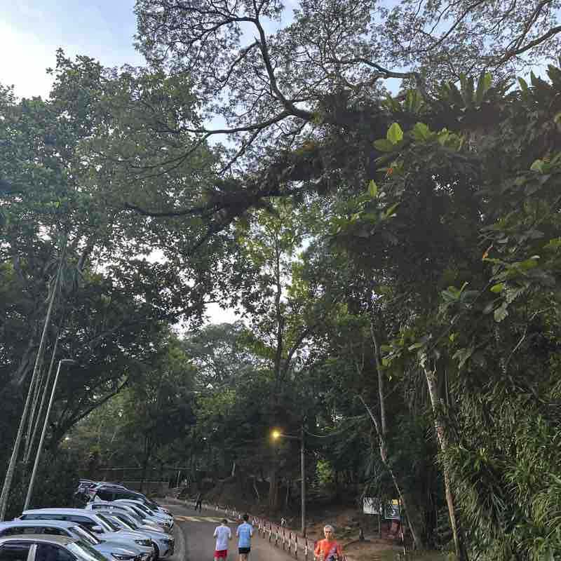 Zameer Hussain post 1