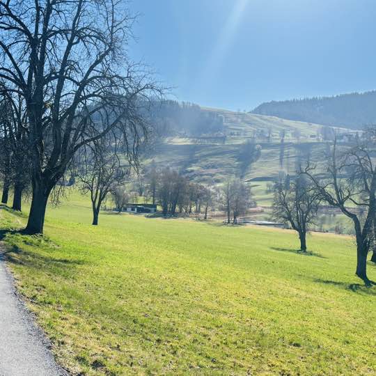 BeFriends Step Challenge Cissy post image