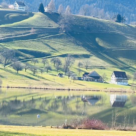 BeFriends Step Challenge Cissy post image