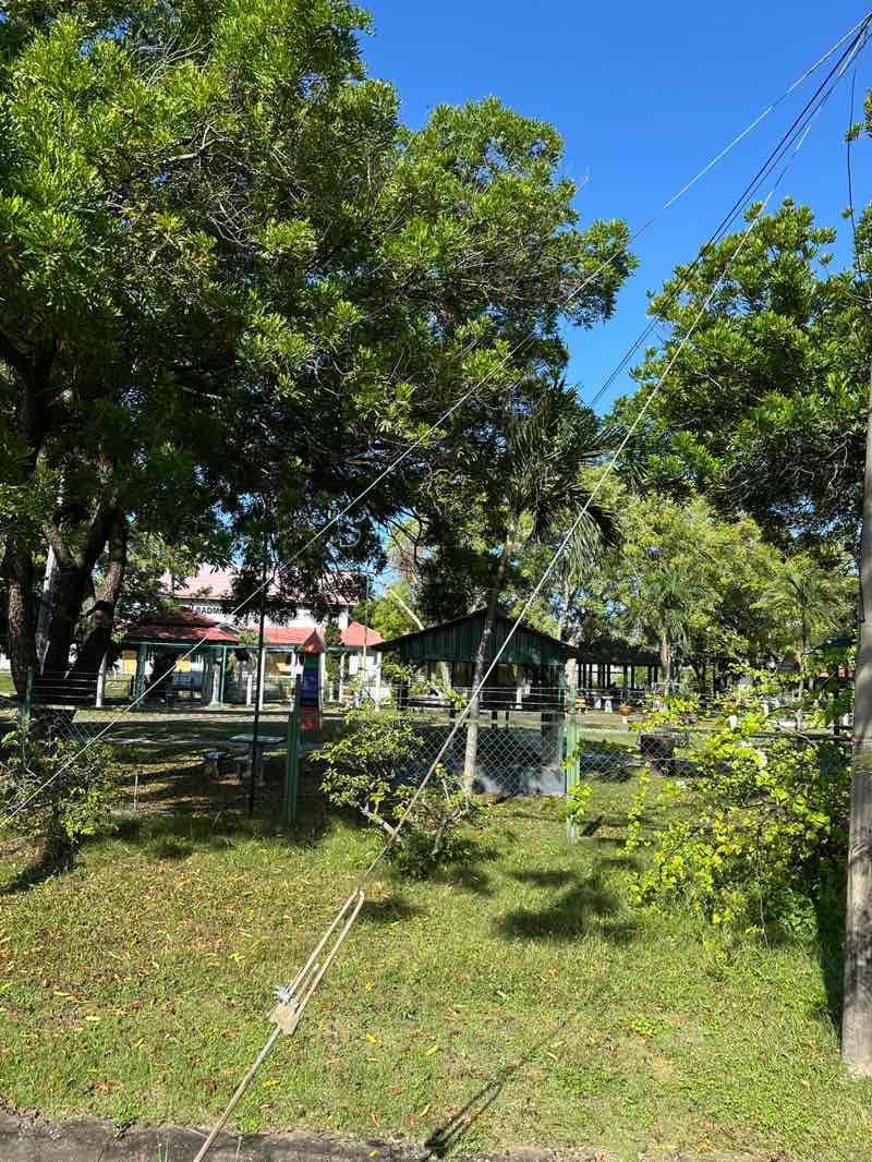 walking near me in Taman Orkid Aqua in summer