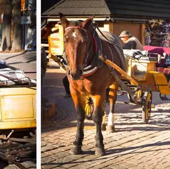 Hatem🏃🏽‍♂️🤗🇸🇦 post 2