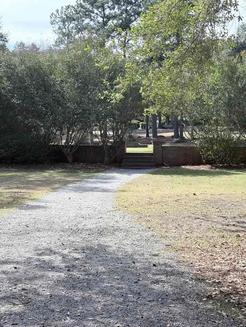 walking near me in Azalea Park in winter