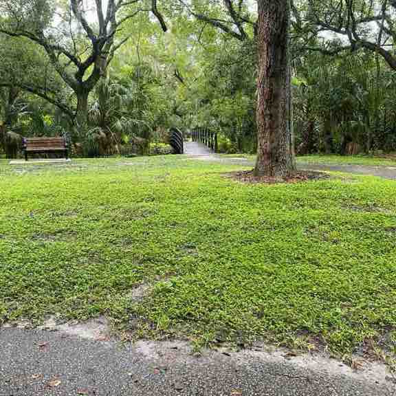 Black Business Professionals Sam.Dickerson post image