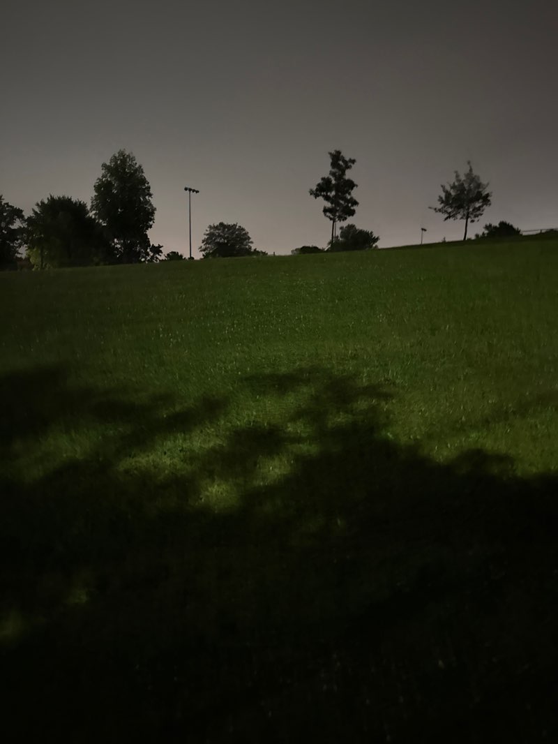 walking near me in Merv Sullivan Park in summer