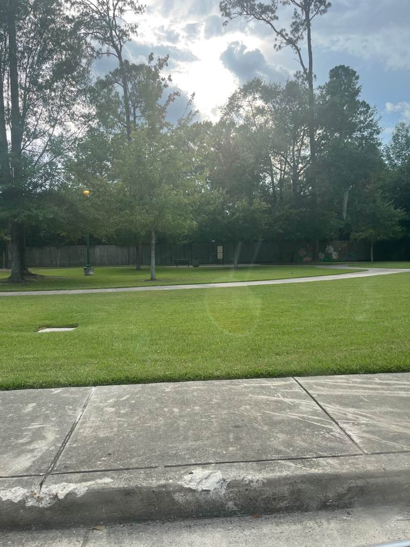 walking near me in slidell memorial hospital physical therapy park in summer