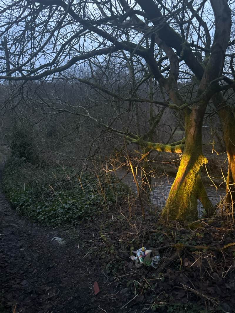 walking near me in Seven Acres Country Park in winter