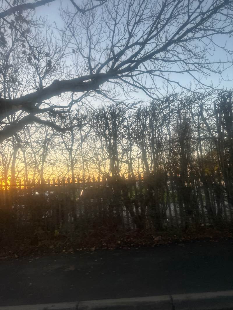 walking near me in Mytham Park in autumn