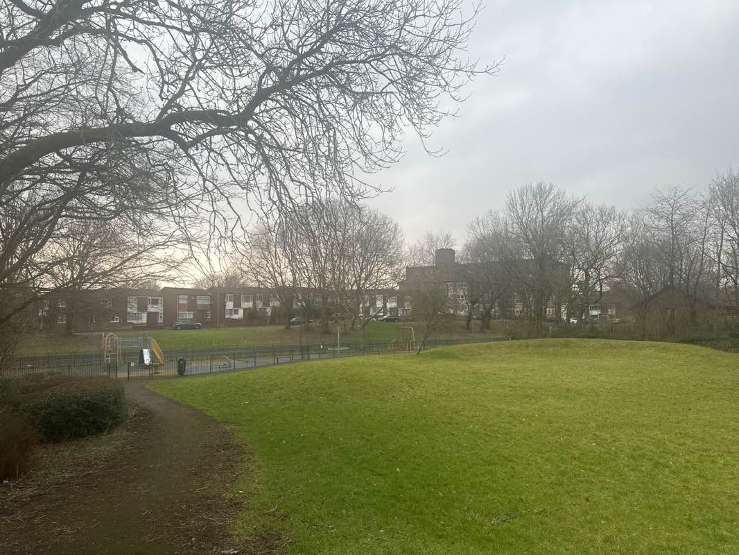 walking near me in Thomasson Park in winter