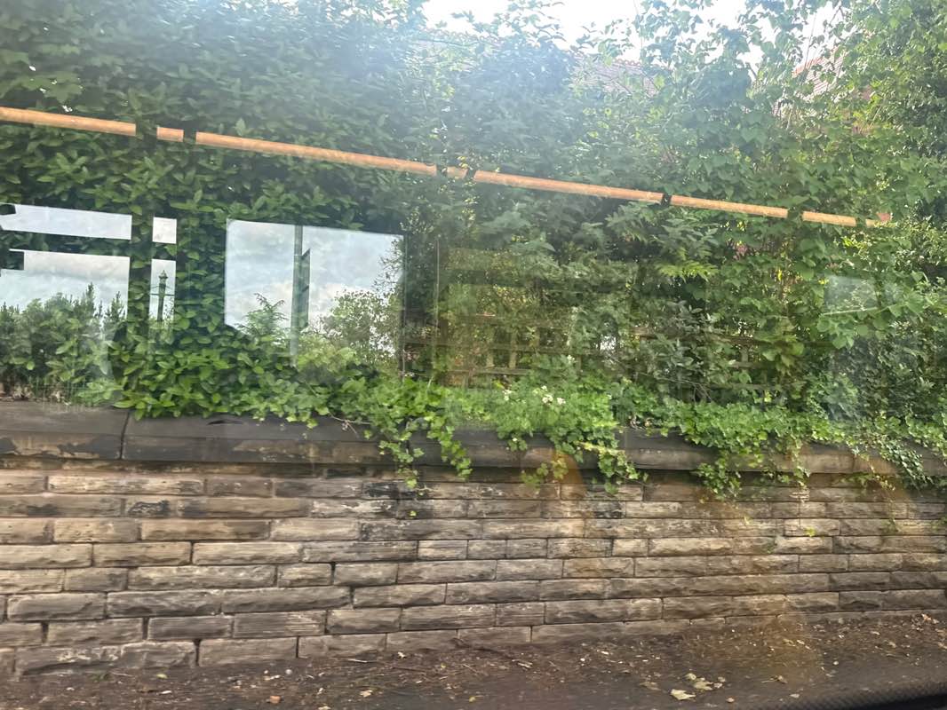 walking near me in Close Park in spring