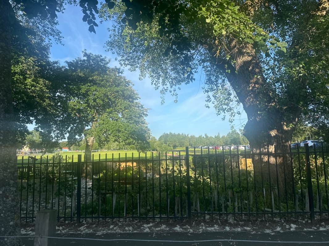 walking near me in King George V Park in summer