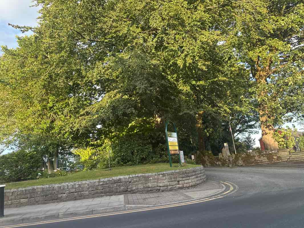 walking near me in Town Meadow Park in autumn