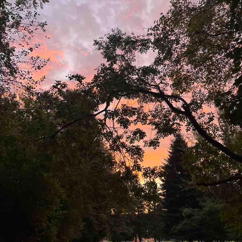 Елена 🇷🇺🏃🏼‍♀️‍➡️🎨 post 1