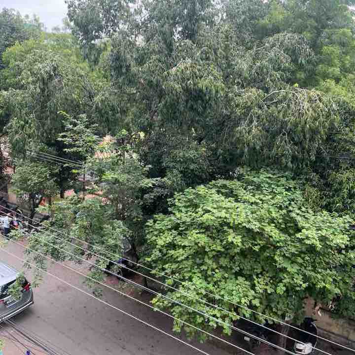 Hari Laxman Nallamalli post 1