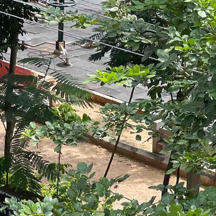 Hari Laxman Nallamalli post 1