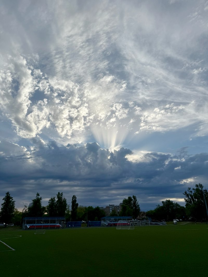 walking near me in Аллея Шевченко in spring