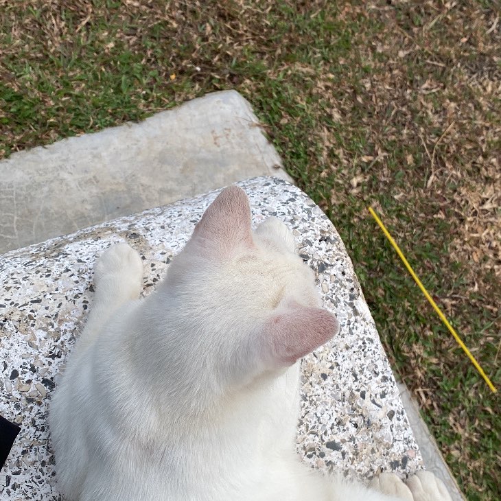 ㅤᵕ̈  ztyssssss ㅤᵕ̈