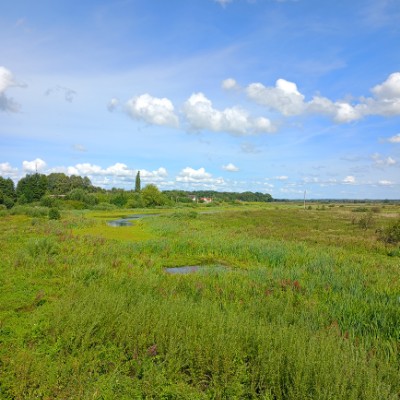 132 club МП post image