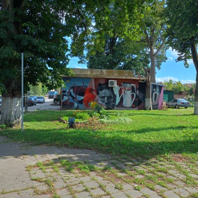 132 club МП post image