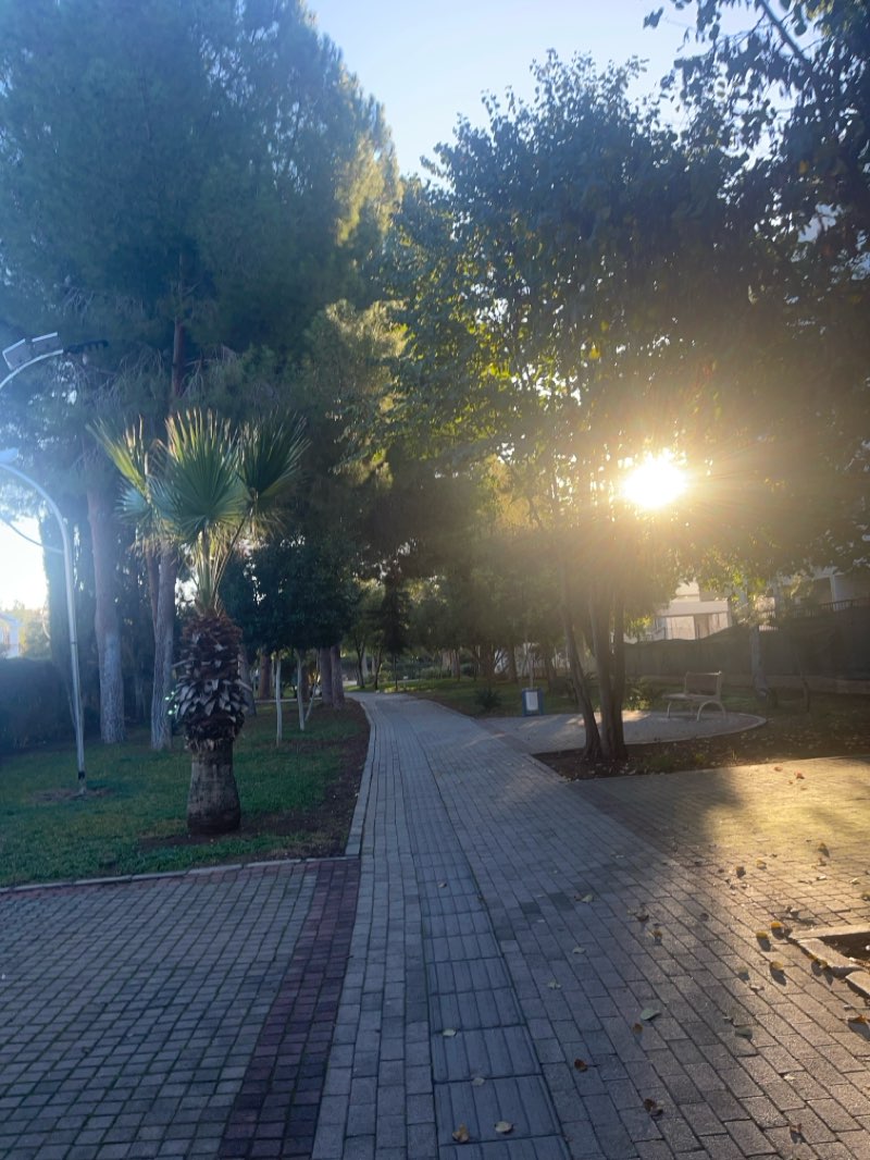 walking near me in Kumsal Parkı in winter