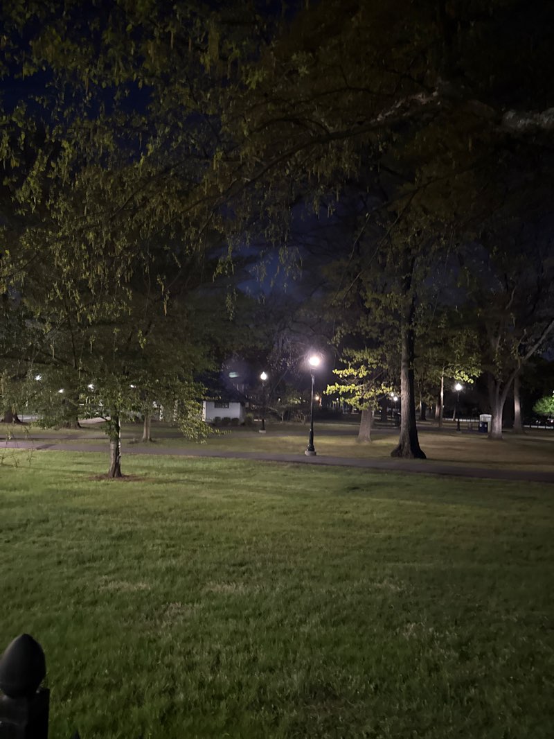 walking near me in Glenfield Park in spring