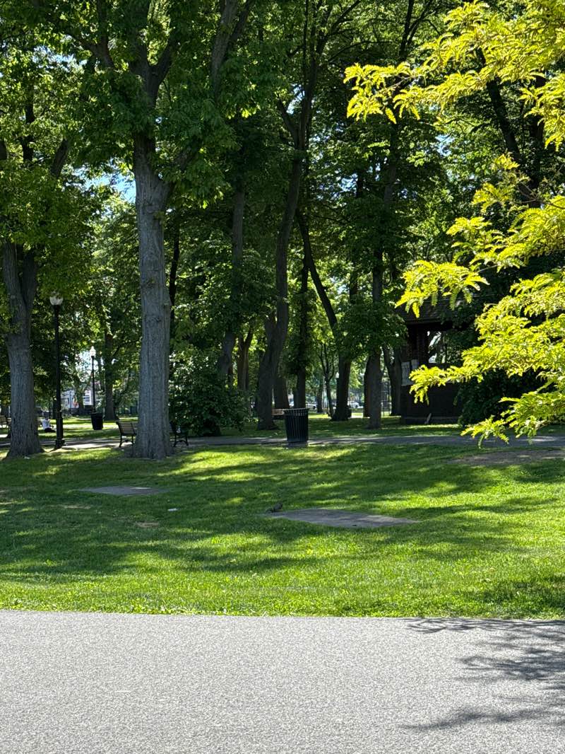 walking near me in Watsessing Park in summer
