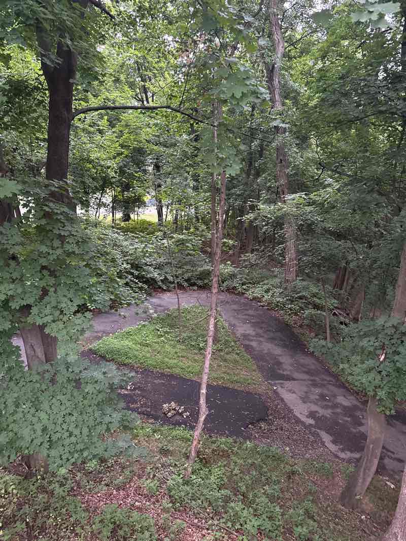 walking near me in The Glen in summer