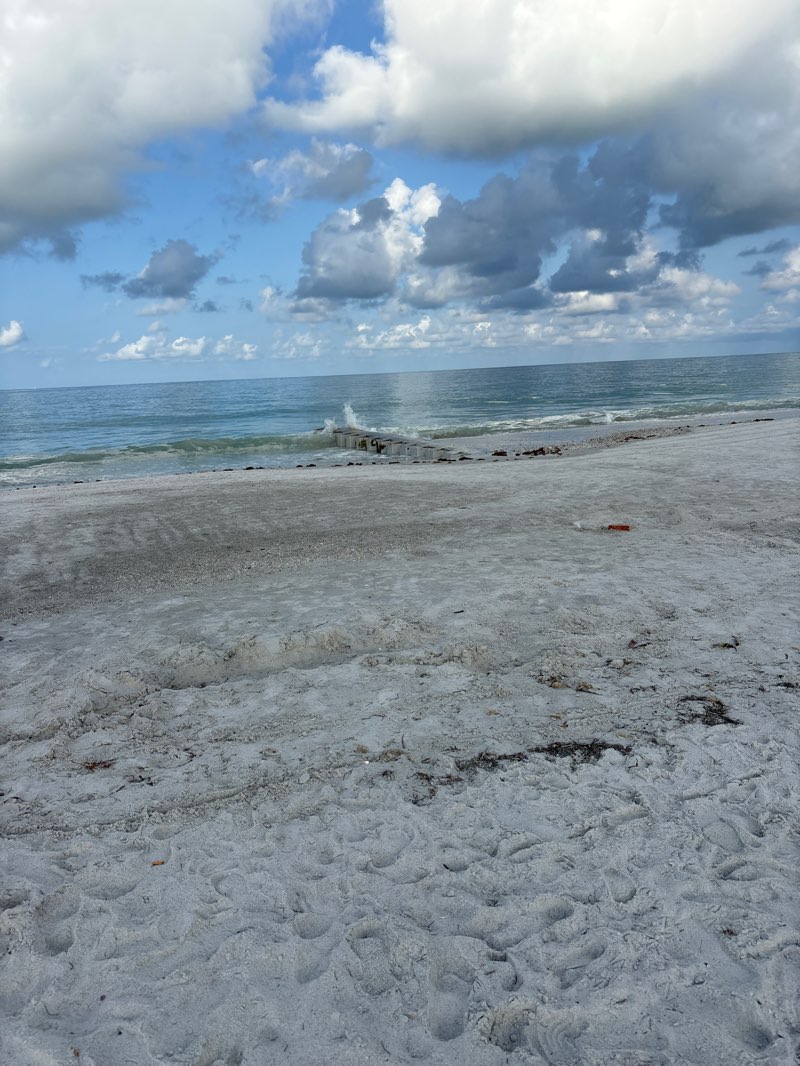 walking near me in Madeira Beach Public Access Park in summer