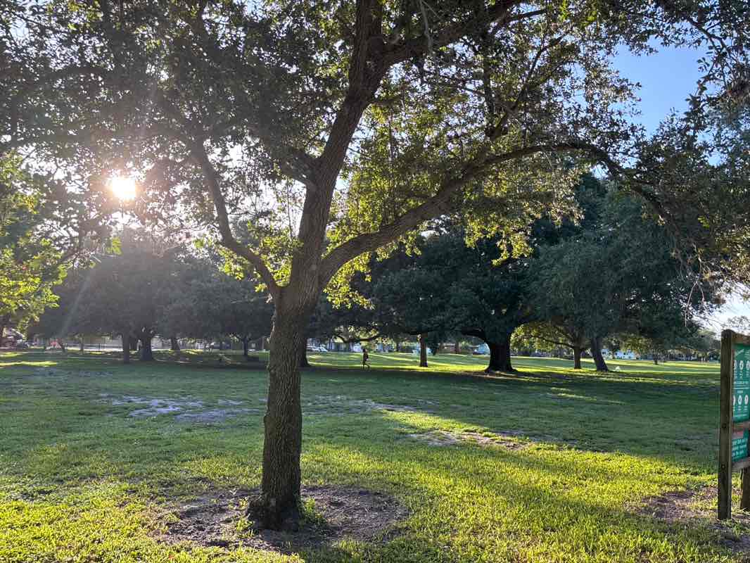 walking near me in Azalea Park in summer