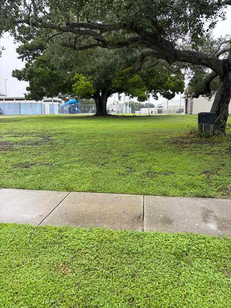 walking near me in Northwest Park in summer