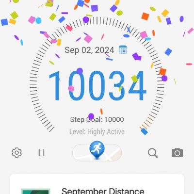 Walking Challenge Walking Challenge post image