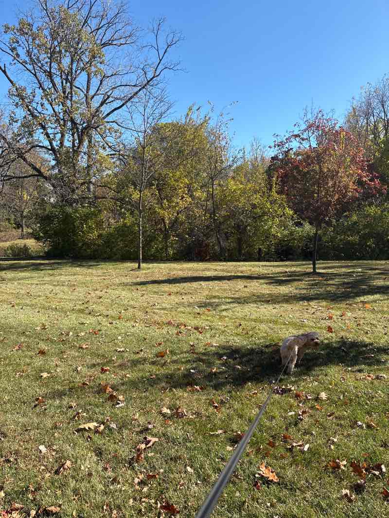walking near me in Bailey Park in autumn